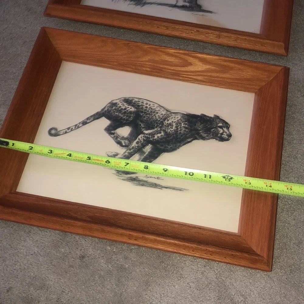 Vintage Art Etchings Drawing Cheetah Framed D.‎  Schwartz